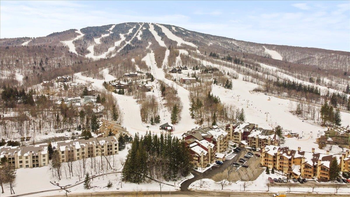792 Stratton Mountain Road, Unit 4102 Stratton, VT 05340 - Photo 3 of 35