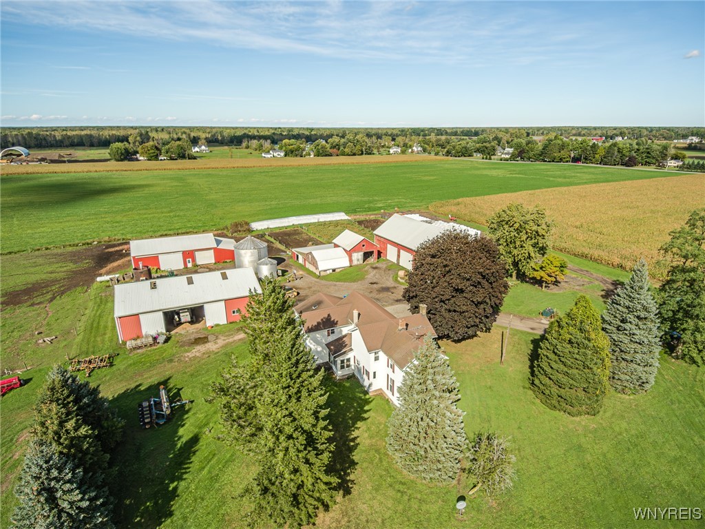 6990 Heise Road Clarence, NY 14032 - Photo 26 of 33
