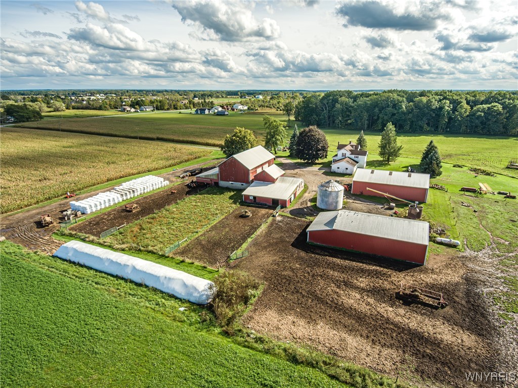6990 Heise Road Clarence, NY 14032 - Photo 27 of 33