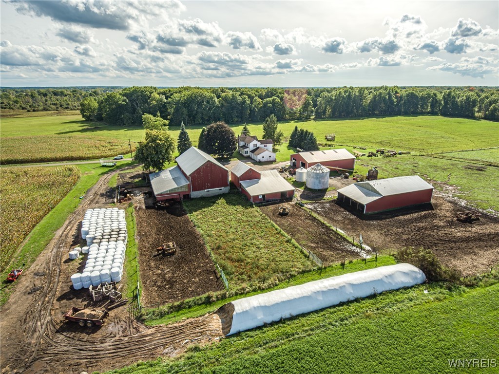 6990 Heise Road Clarence, NY 14032 - Photo 29 of 33