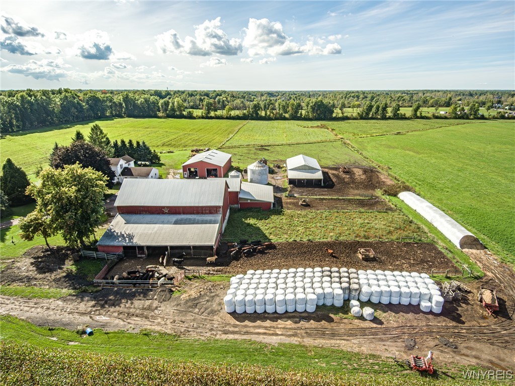 6990 Heise Road Clarence, NY 14032 - Photo 30 of 33