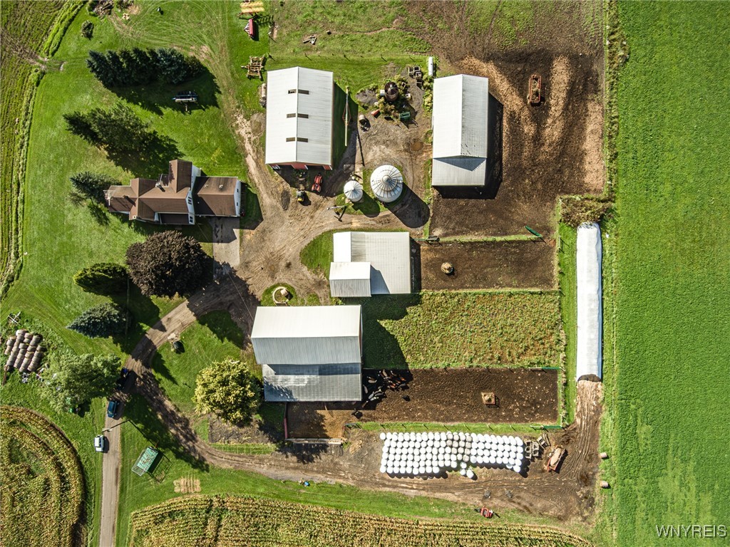 6990 Heise Road Clarence, NY 14032 - Photo 31 of 33