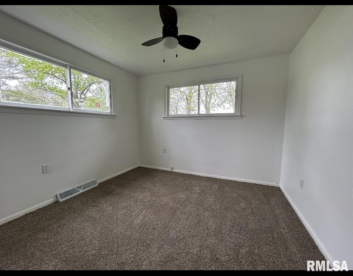 13530 Bab Road Auburn, IL 62615 - Photo 12 of 21