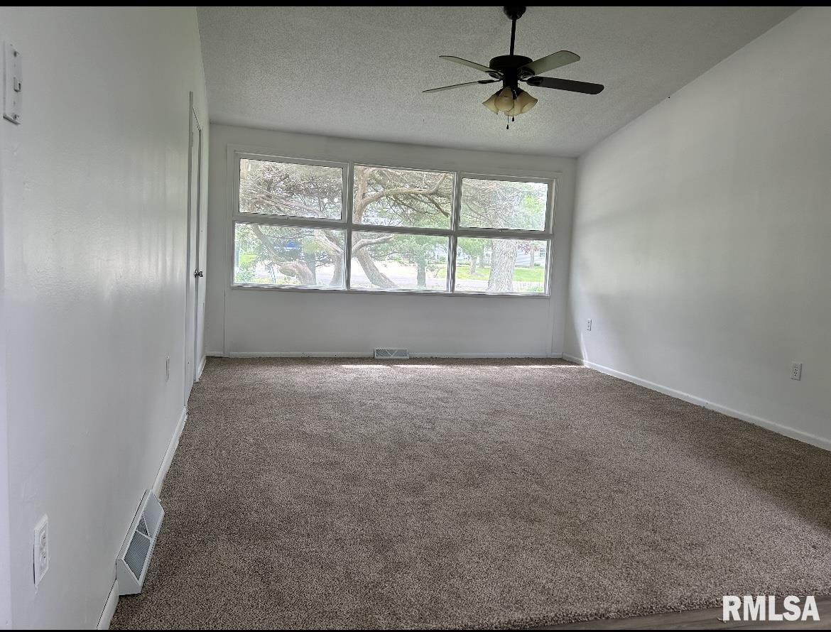 13530 Bab Road Auburn, IL 62615 - Photo 16 of 21