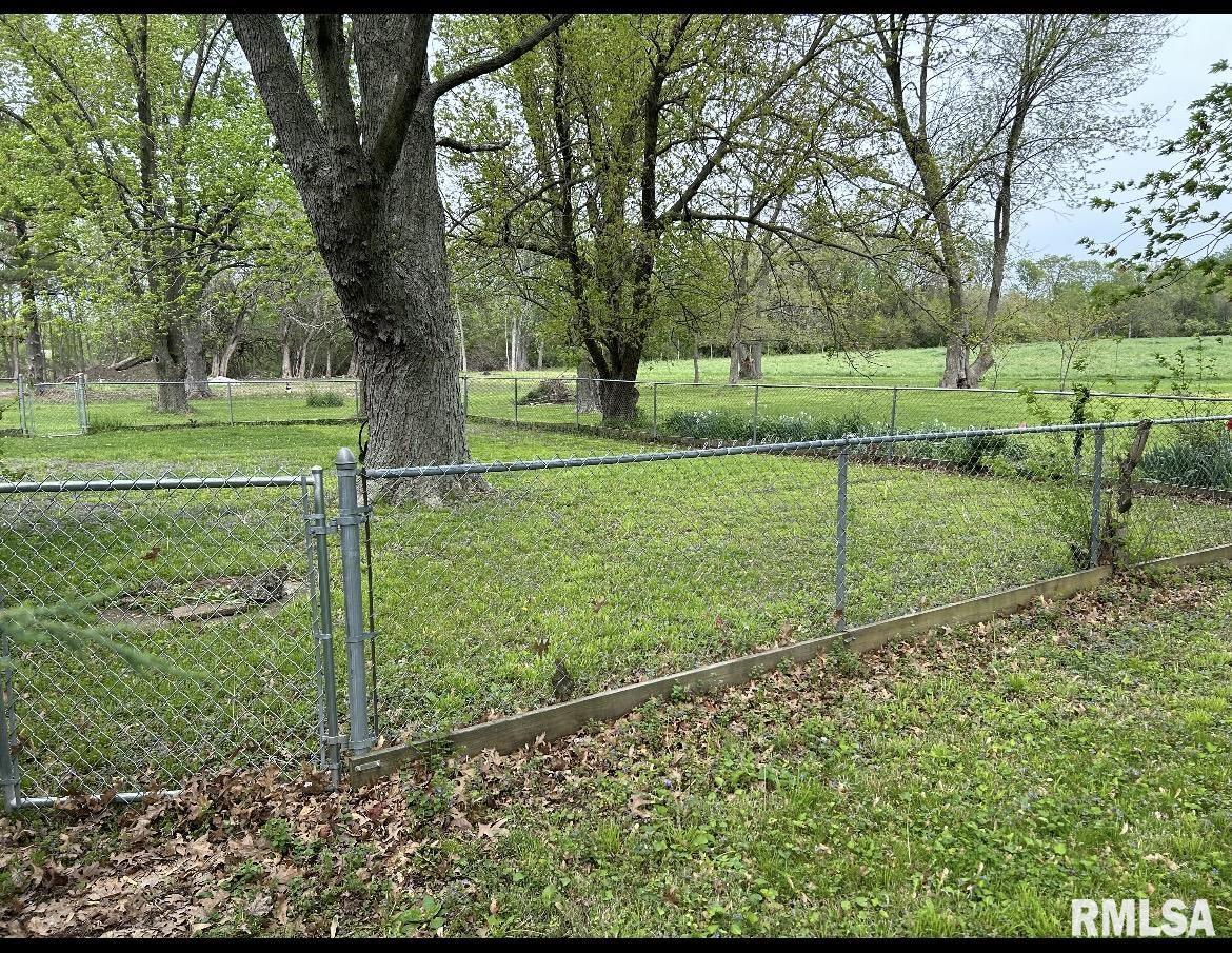 13530 Bab Road Auburn, IL 62615 - Photo 3 of 21