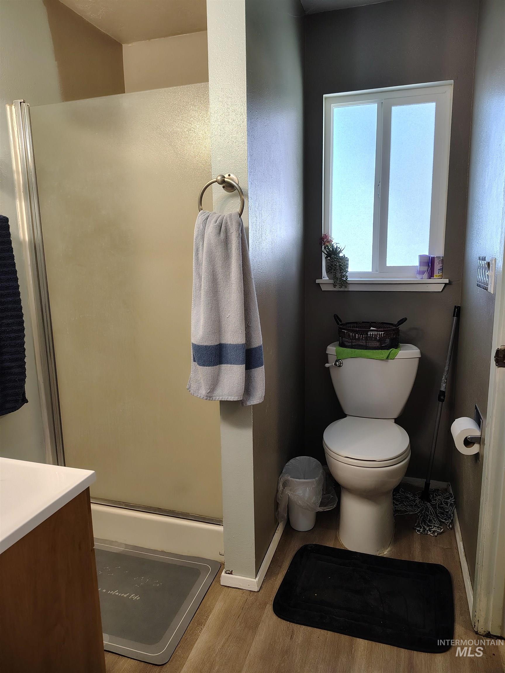 820 Meadows Drive Twin Falls, ID 83301 - Photo 21 of 23 Bathroom with vanity, a shower stall, and light wood-type flooring