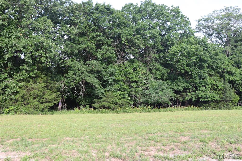 1970 Tanglefoot Farms Road Festus, MO 63028 - Photo 3 of 6