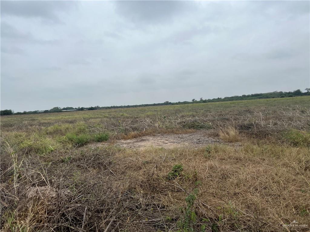 9.5-mi North Doffing Road Mission, TX 78574 - Photo 2 of 5