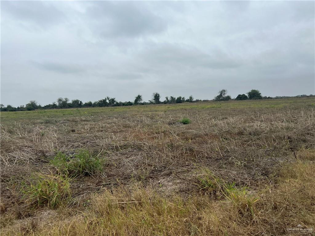 9.5-mi North Doffing Road Mission, TX 78574 - Photo 4 of 5