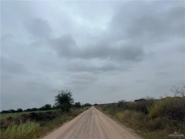 $294,000 | 9.5-mi North Doffing Road, Mission, TX 78574