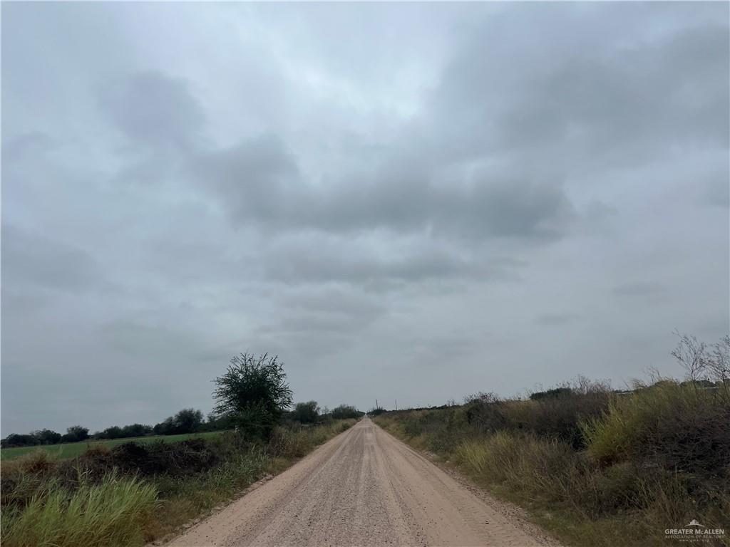 9.5-mi North Doffing Road Mission, TX 78574 - Photo 5 of 5