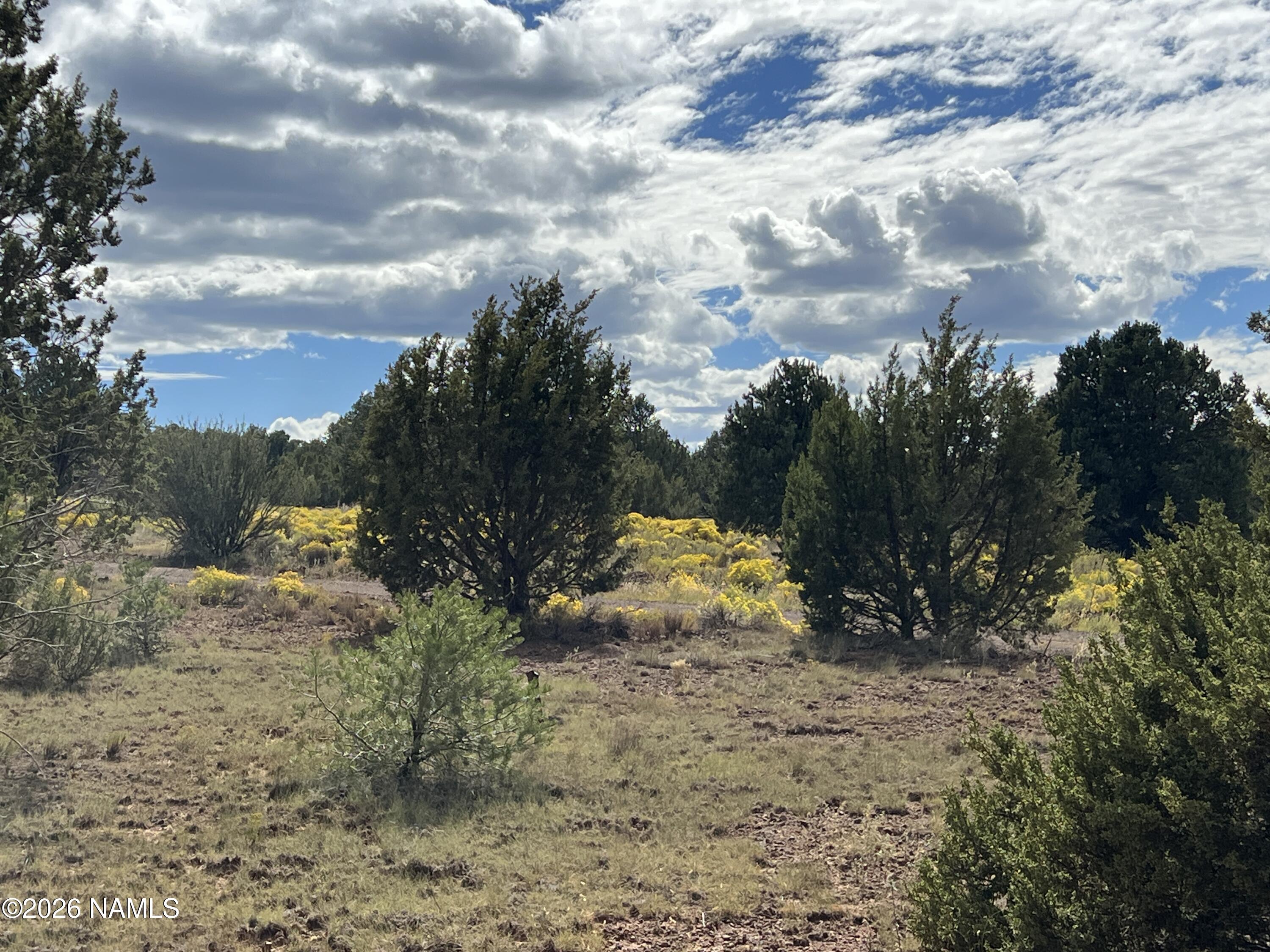 7197 North Red Lake Road Williams, AZ 86046 - Photo 11 of 13 IMG_3414