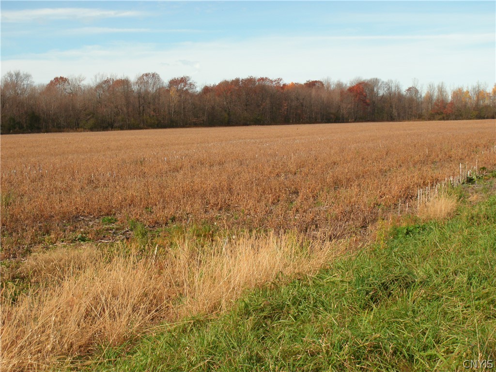 0 Miser Road Black River, NY 13612 - Photo 1 of 1 Gallery Image 1
