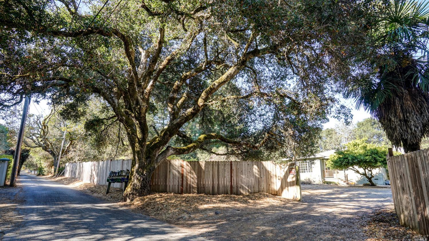 5924 Fredricks Road Sebastopol, CA 95472 - Photo 1 of 1 a view of a outdoor space