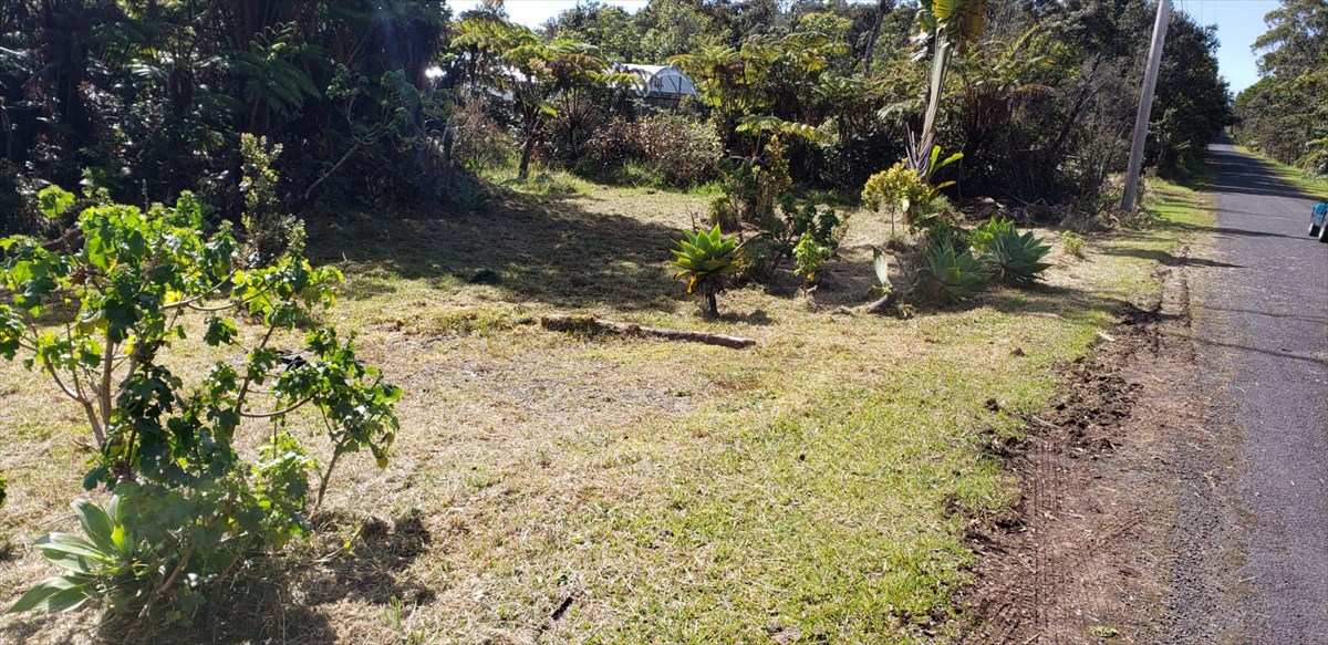 138 Liko Lehua Road Volcano, HI 96785 - Photo 11 of 20 Gallery Image 11