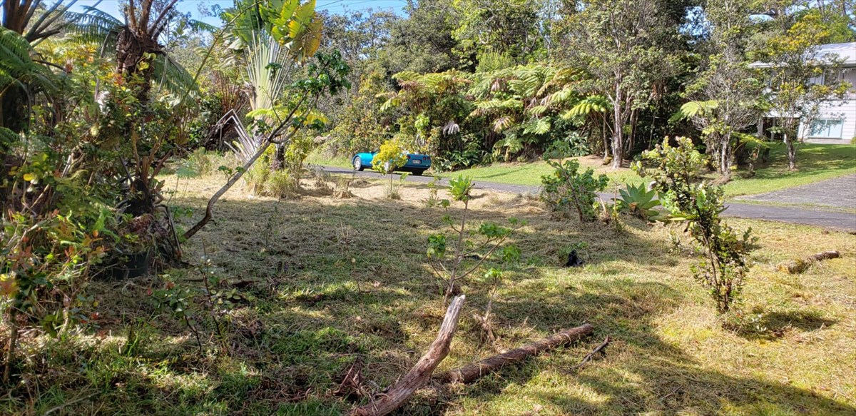 138 Liko Lehua Road Volcano, HI 96785 - Photo 13 of 20 Gallery Image 13