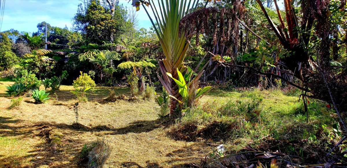 138 Liko Lehua Road Volcano, HI 96785 - Photo 3 of 20 Gallery Image 3