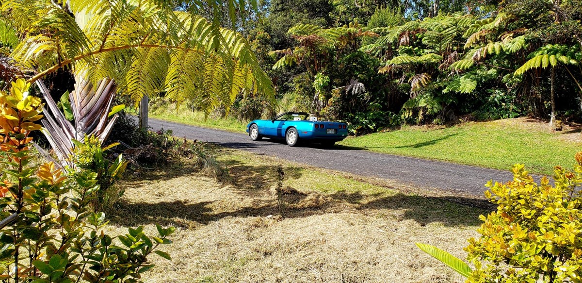 138 Liko Lehua Road Volcano, HI 96785 - Photo 6 of 20 Gallery Image 6
