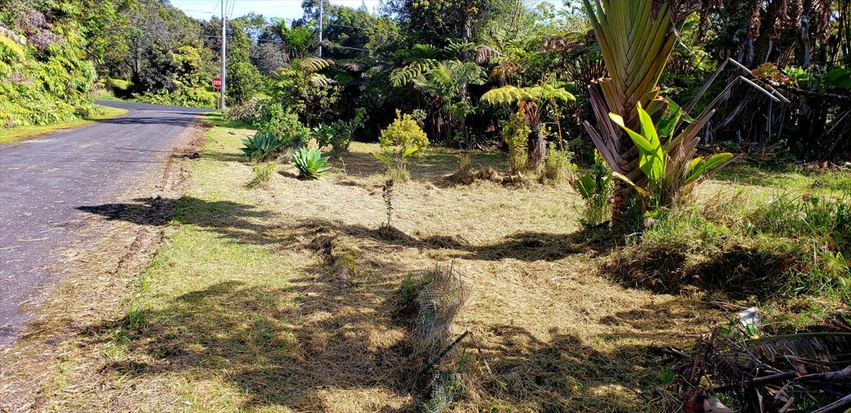 138 Liko Lehua Road Volcano, HI 96785 - Photo 9 of 20 Gallery Image 9