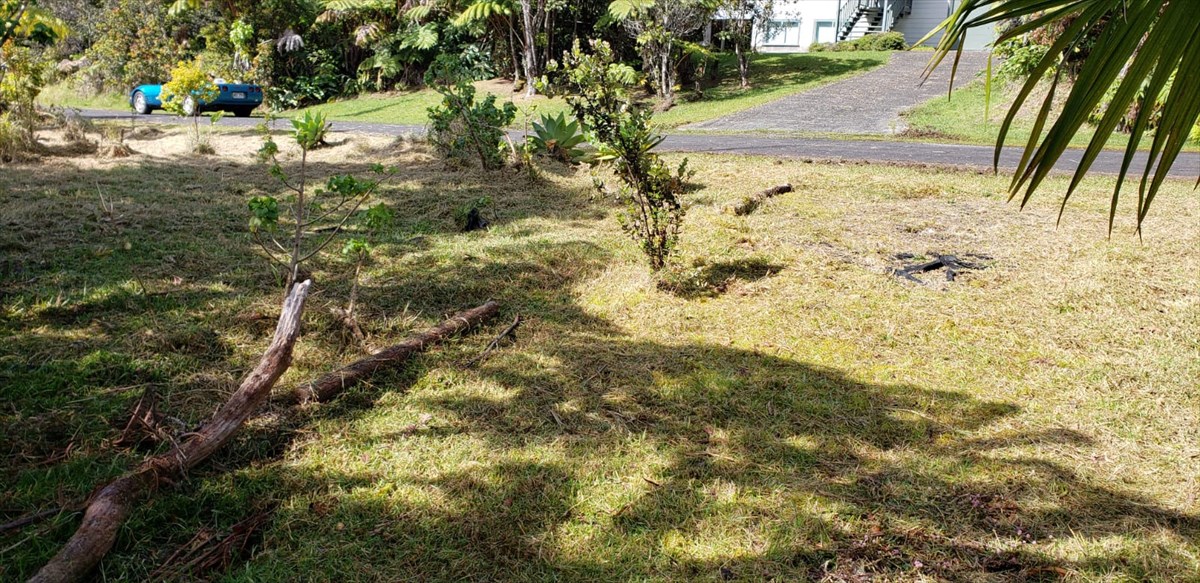 138 Liko Lehua Road Volcano, HI 96785 - Photo 10 of 20 Gallery Image 10