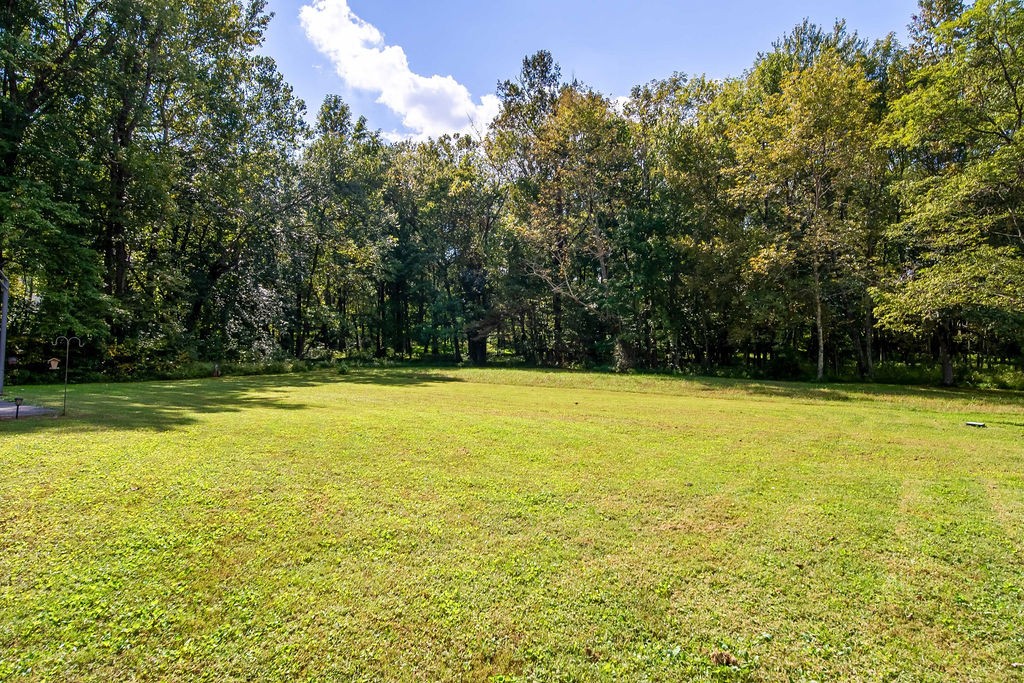 116 Ben Albert Road Cottontown, TN 37048 - Photo 8 of 42 Gallery Image 8
