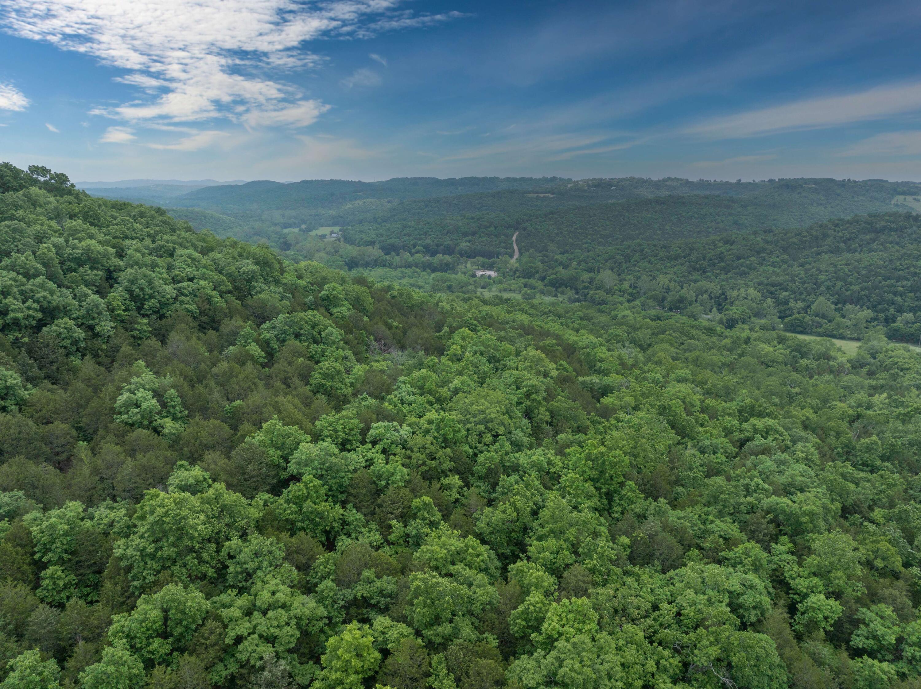 0 Reno Springs Road Walnut Shade, MO 65771 - Photo 5 of 10 DJI_0805