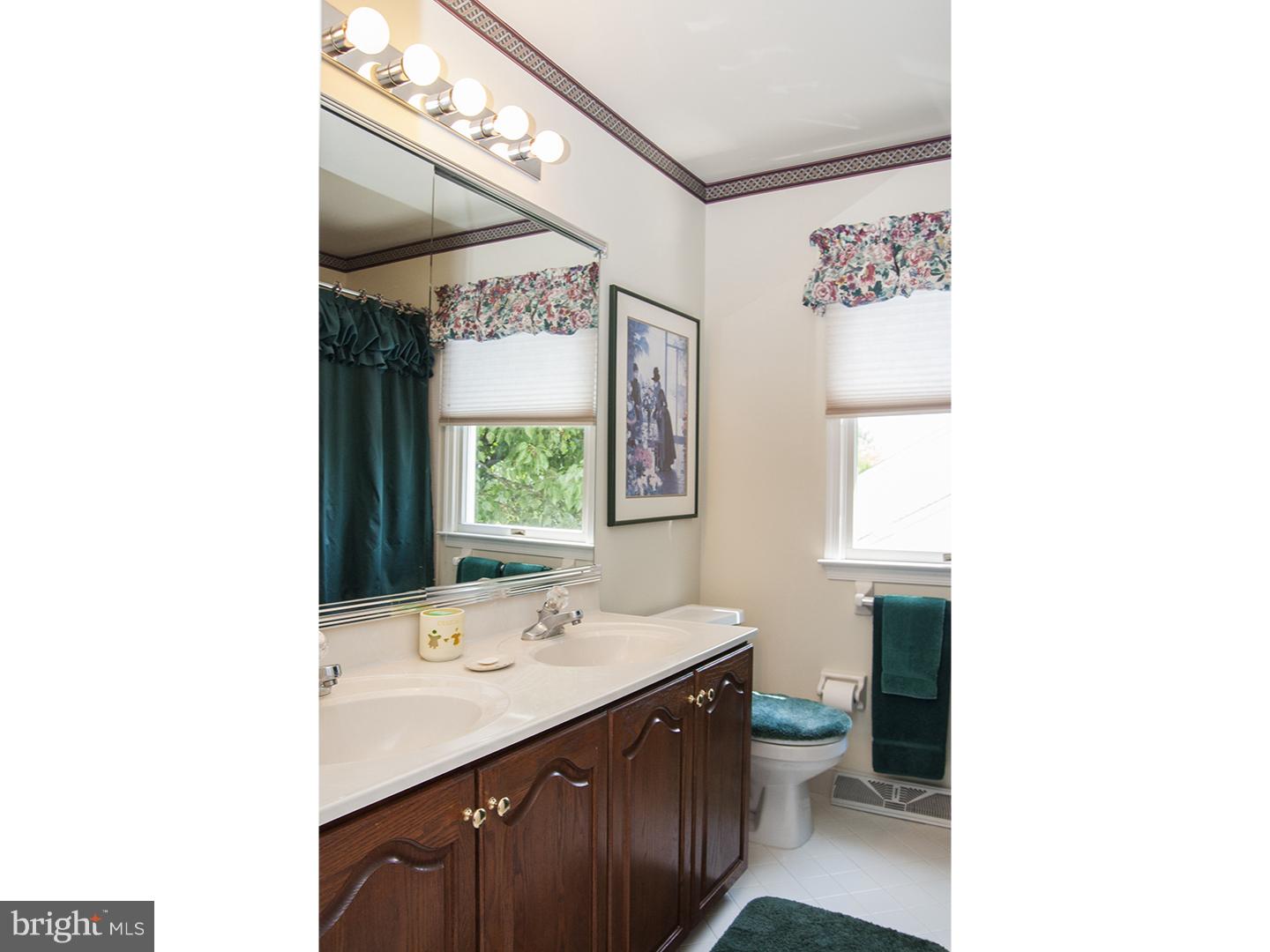 2519 West Rockspray Road Jamison, PA 18929 - Photo 19 of 25 Bathroom