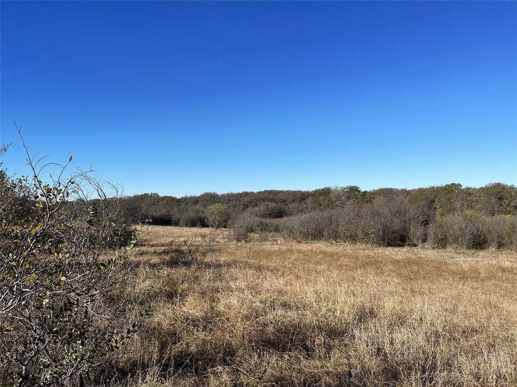 13 Bounds Road, Unit 13 ACRES Gunter, TX 75058 - Photo 1 of 6 a view of a mountain range with trees