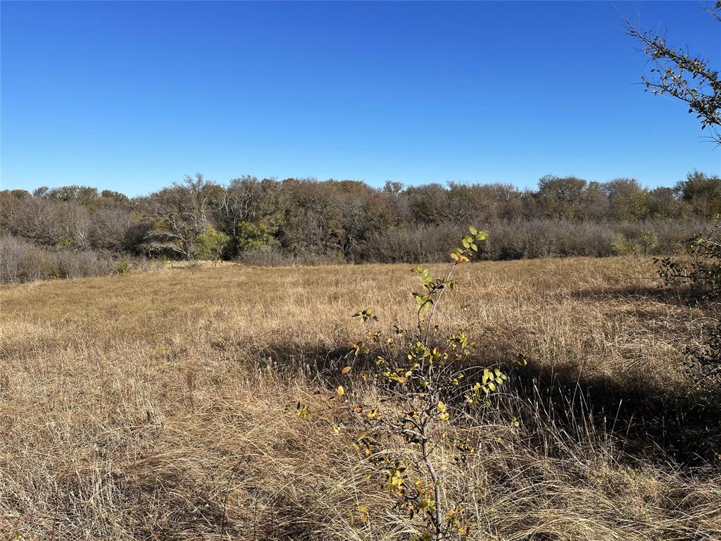 13 Bounds Road, Unit 13 ACRES Gunter, TX 75058 - Photo 3 of 6 a view of mountain with trees in background