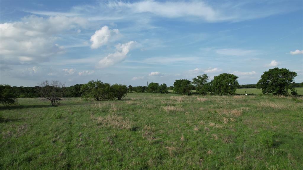13 Bounds Road, Unit 13 ACRES Gunter, TX 75058 - Photo 4 of 6 a view of a field of grass and trees