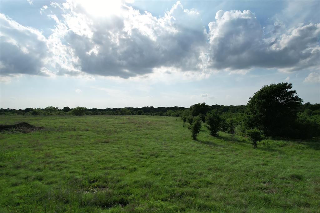 13 Bounds Road, Unit 13 ACRES Gunter, TX 75058 - Photo 5 of 6 a view of lake with green space