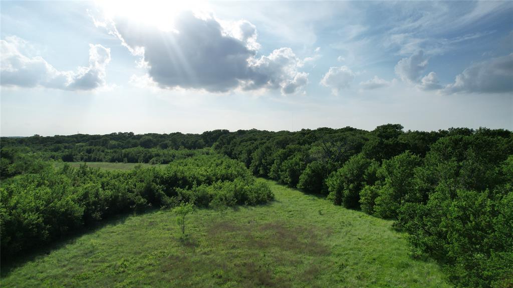 13 Bounds Road, Unit 13 ACRES Gunter, TX 75058 - Photo 6 of 6 a view of a city and lush green forest