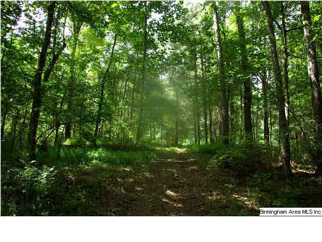 776 Robbins Branch Road, Unit 1 Altoona, AL 35952 - Photo 23 of 30 Gallery Image 23
