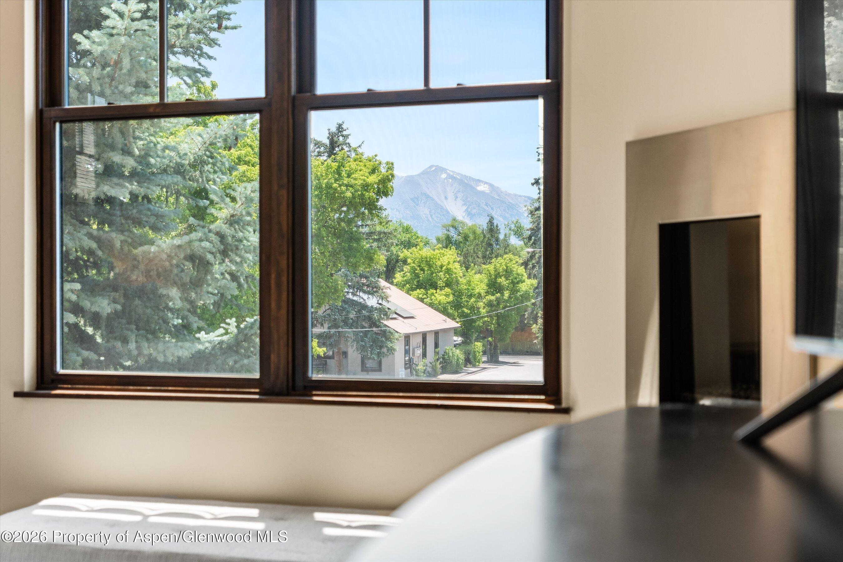 921 Main Street Carbondale, CO 81623 - Photo 18 of 24 20-921MainSt_26062320