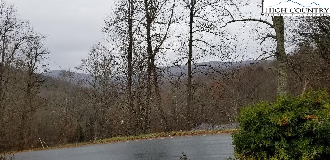 456 Grady Winkler Road Boone, NC 28607 - Photo 3 of 18 a view of tree in front of a house