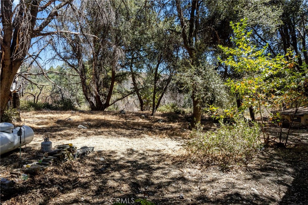 39922 Pine Bench Road Oak Glen, CA 92399 - Photo 24 of 34 Gallery Image 24