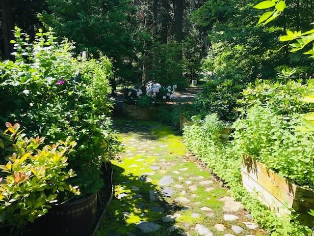 1231 Audubon Road Mount Shasta, CA 96067 - Photo 7 of 24 Gallery Image 7