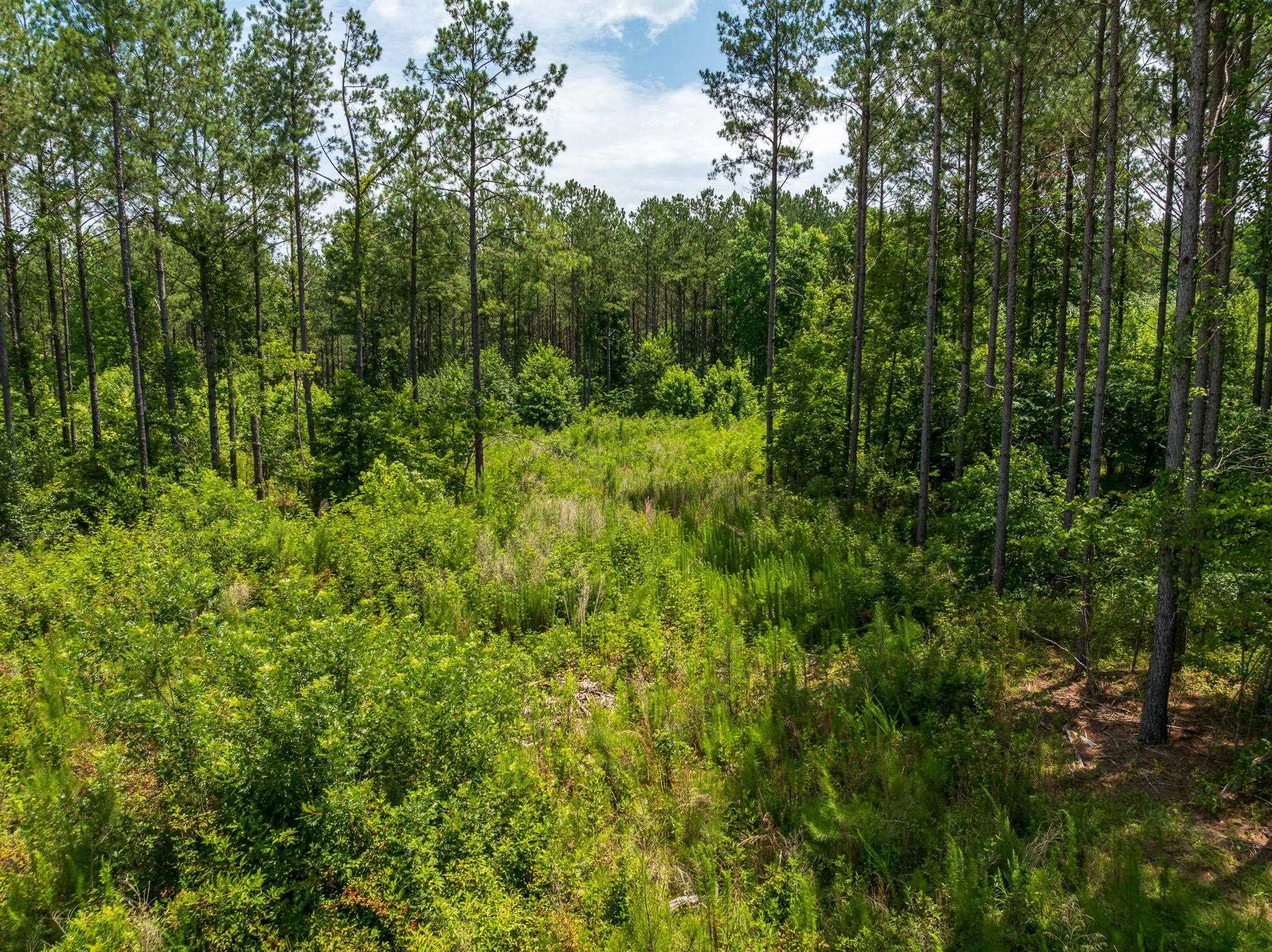 1 Quail Hollow Road Sharon, SC 29742 - Photo 9 of 27