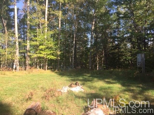 108 Blueberry Corner Road, Unit 3 Crystal Falls, MI 49920 - Photo 2 of 20 Gallery Image 2