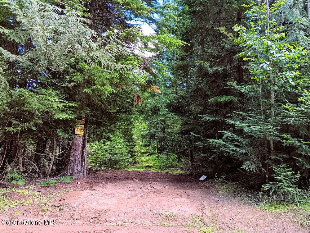 452 Toad Road Priest River, ID 83856 - Photo 39 of 43 IMG_0958