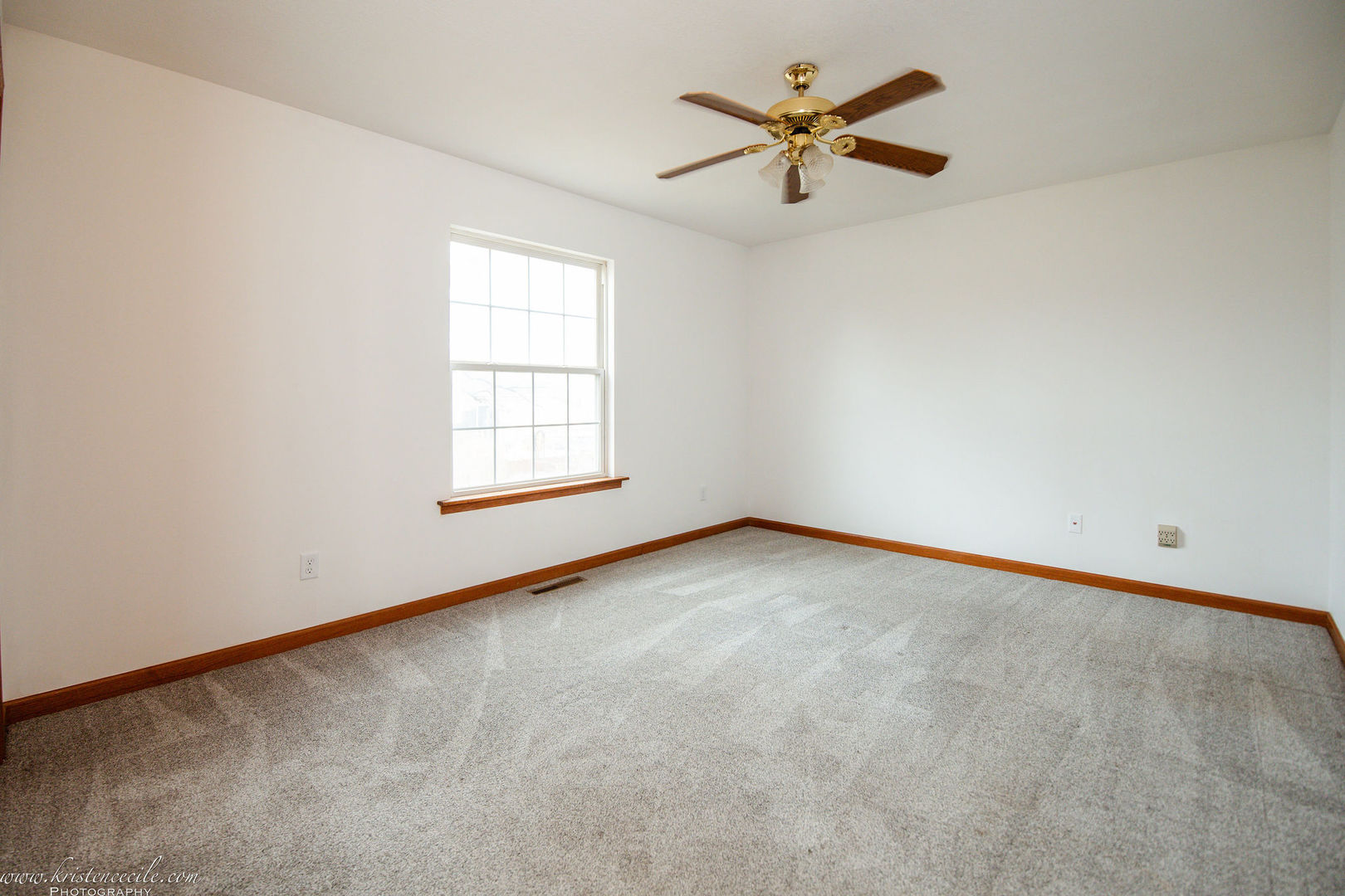 1470 Northfield Meadows Turn Bourbonnais, IL 60914 - Photo 17 of 35