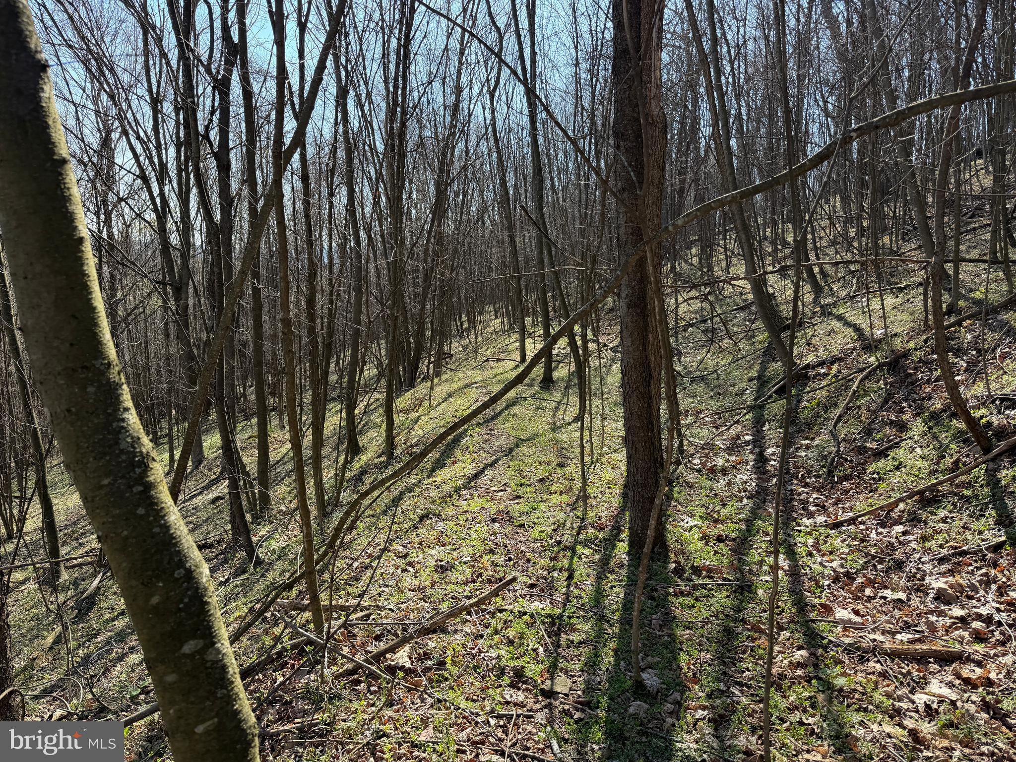 129-acres Black Hollow Road Schellsburg, PA 15559 - Photo 40 of 72