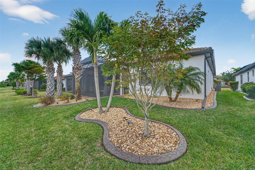 1721 Hyssop Loop North Port, FL 34289 - Photo 39 of 70 a view of a backyard with plants and palm trees