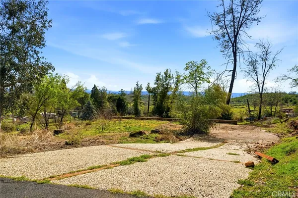 a view of a yard with a tree