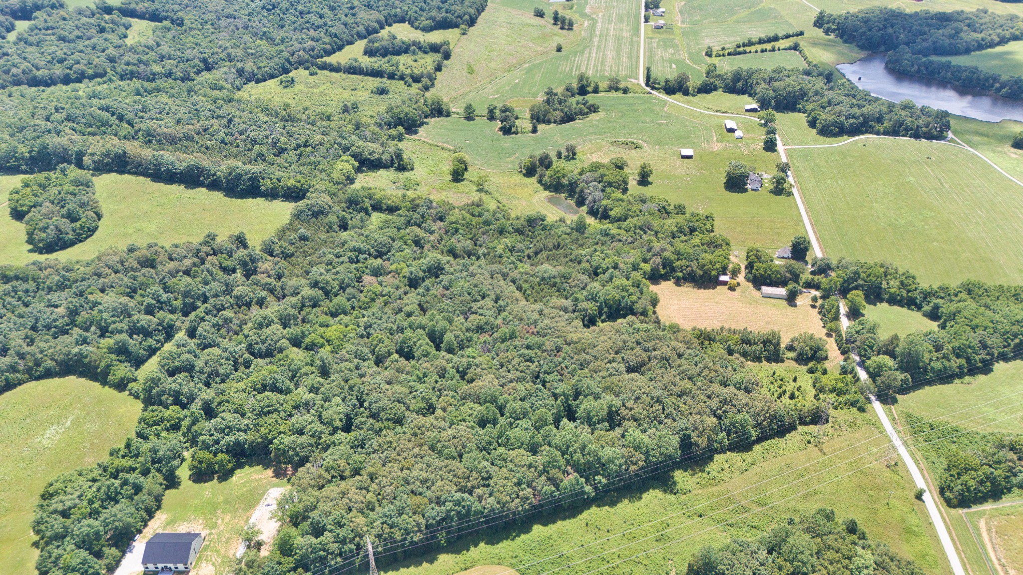820 Edwards Road Russellville, KY 42276 - Photo 5 of 23 a view of a lot of trees and houses