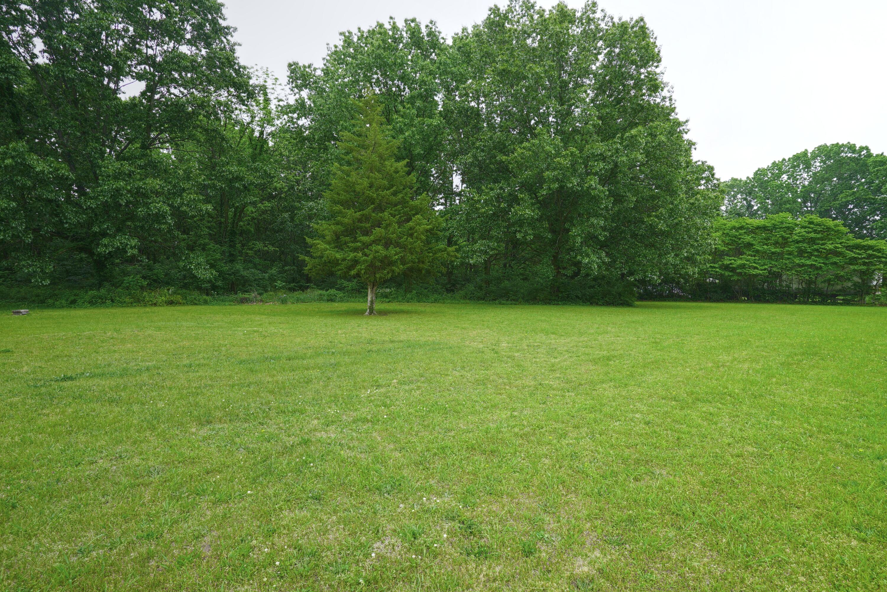 Backyard 2