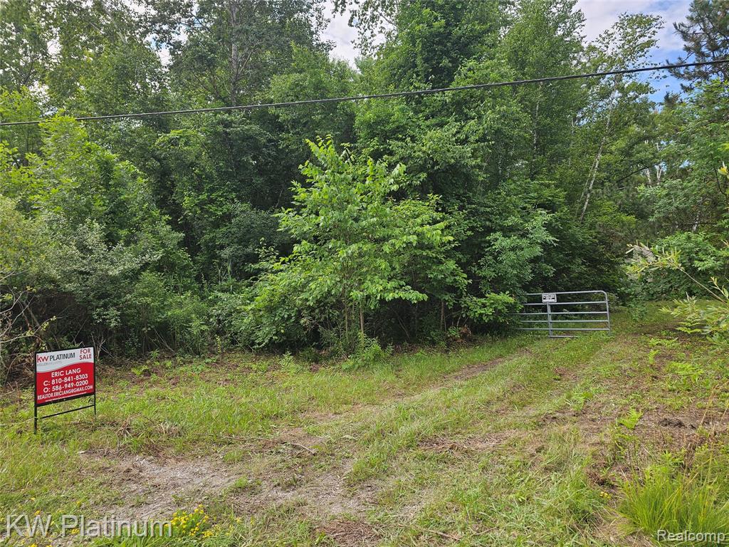 0 Ravenswood Road Smiths Creek, MI 48074 - Photo 2 of 9