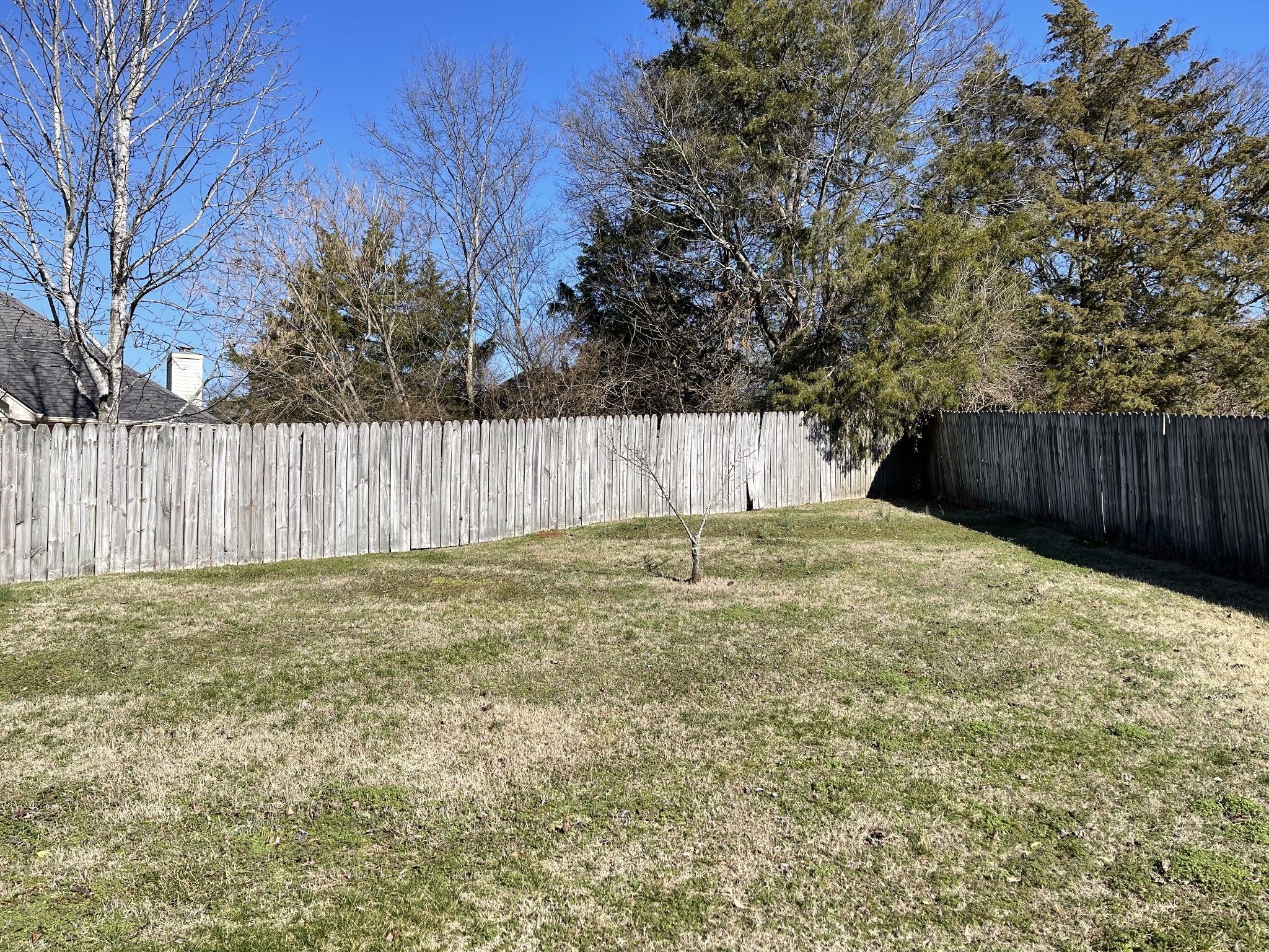 7232 Explorer Trail Nashville, TN 37221 - Photo 46 of 47