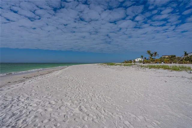 a view of a dry field with beach