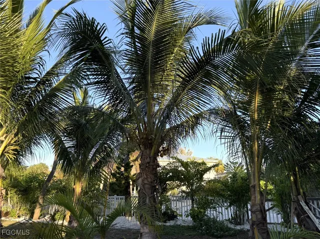 a view of a backyard of a house